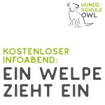 kostenloser Infoabend - Ein Welpe zieht ein