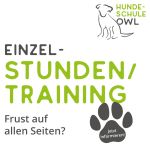 Einzelstunden bzw. Einzeltraining - Individualtraining bei Frust auf allen Seiten