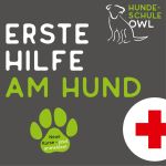 Logo Button für den Kurs "Erste Hilfe Hund"