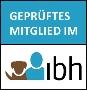 IBH Logo