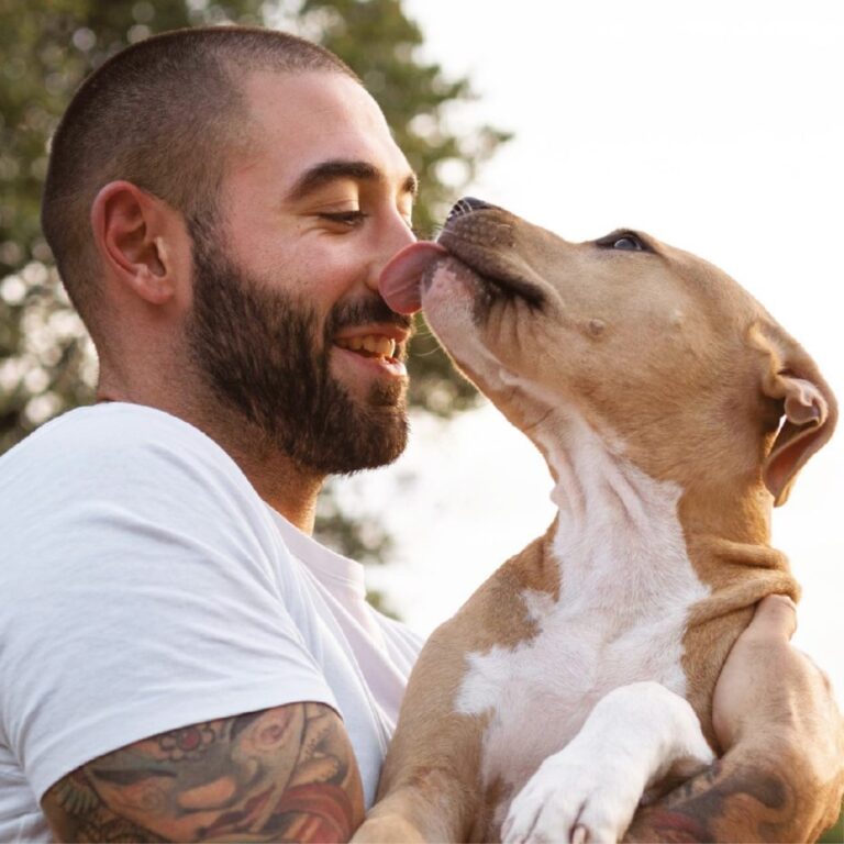 Mann mit tätowiertem Oberarm und weißem T-Shirt hält seinen American Staffordshire Terrier auf dem Arm und wird von ihm an der Nase abgeschleckt.