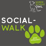 Social-Walk - Jetzt Anmelden