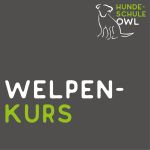 Welpenkurs